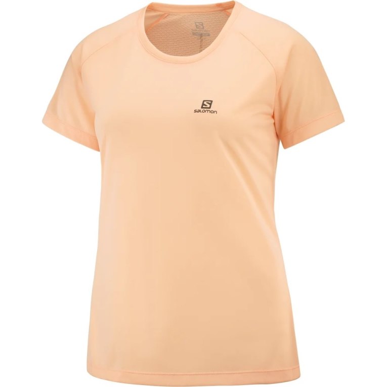 Camiseta Salomon Cross Rebel Curta Sleeve Feminino Abricó | PT M93274